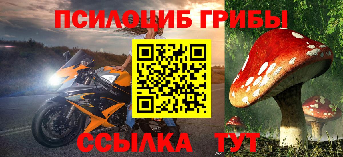 Псилоцибиновые грибы мицелий Удомля